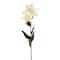 37&#x22; White Lily Stem by Ashland&#xAE;